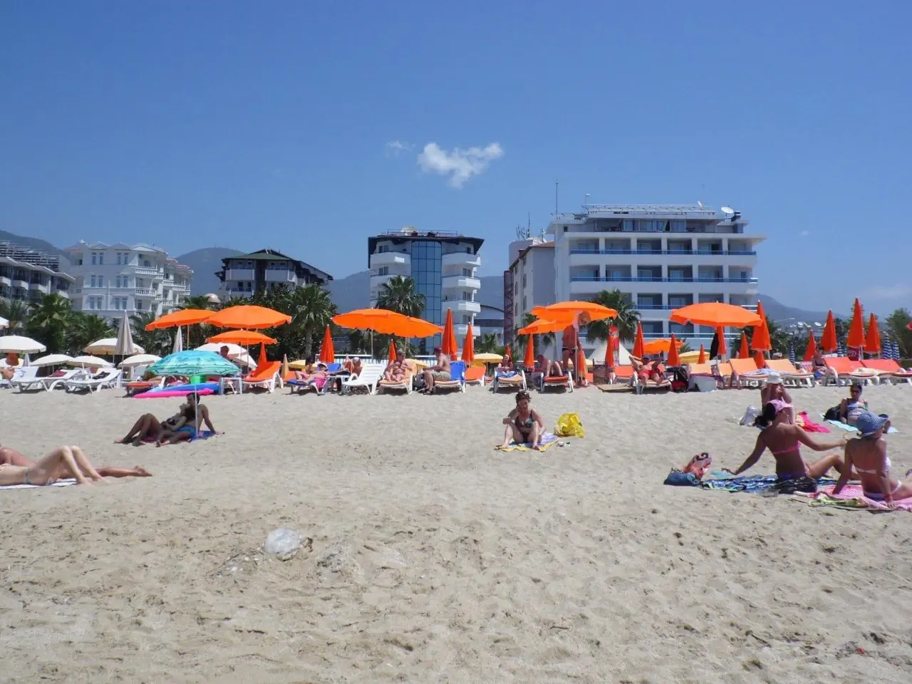 Elysee Beach - zdjęcie 7