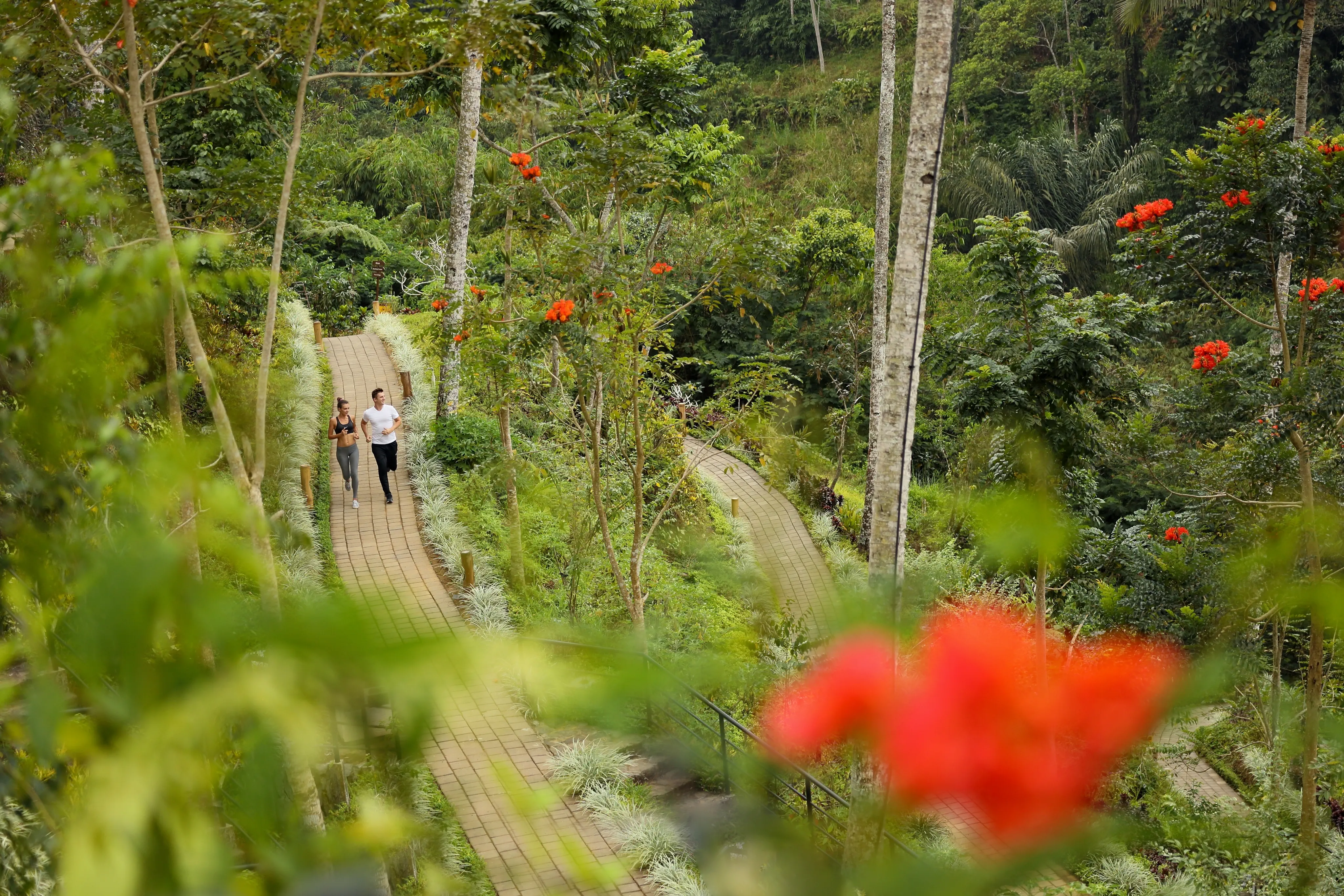 Padma Ubud - zdjęcie 6