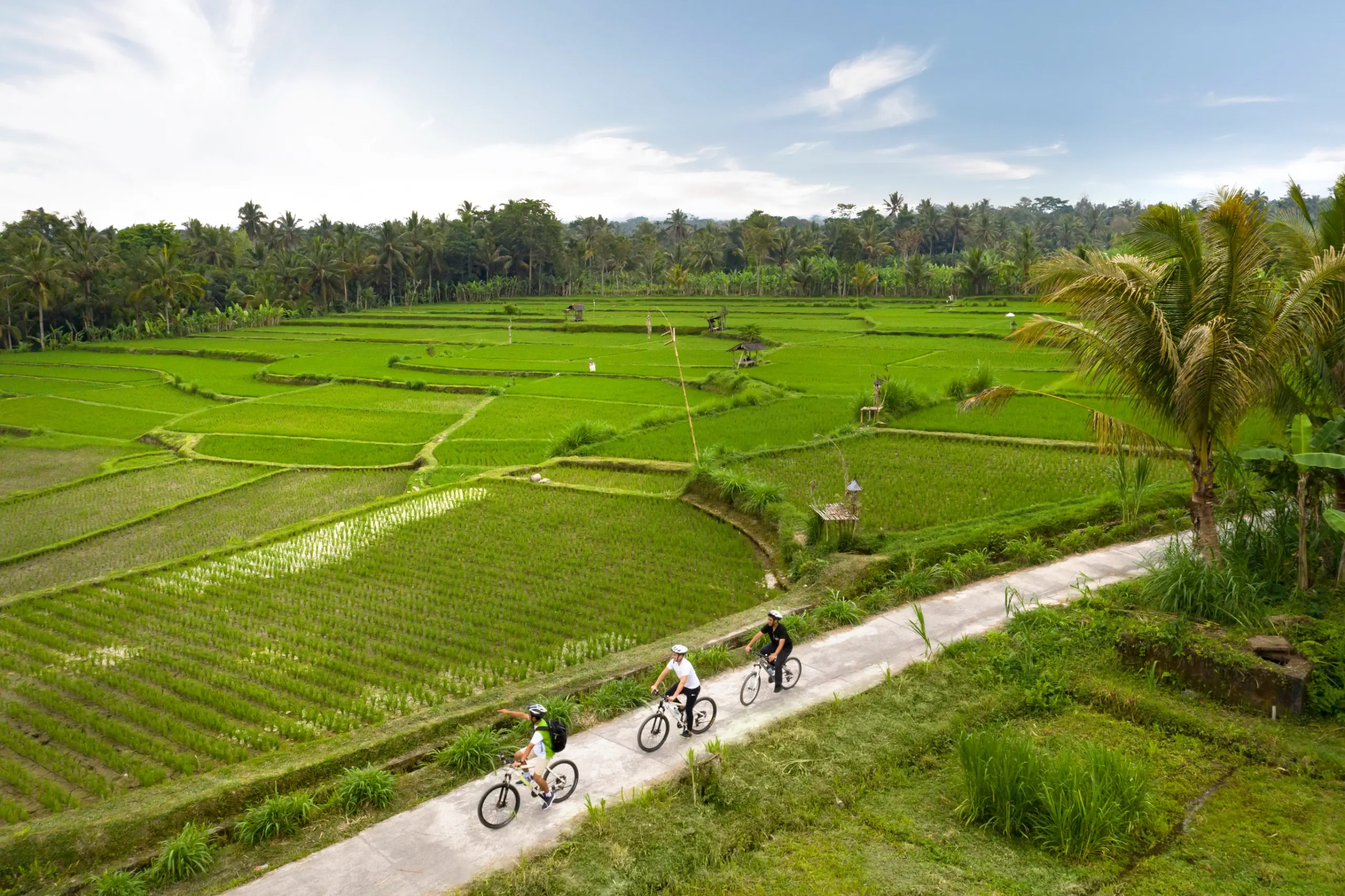 Padma Ubud - zdjęcie 47