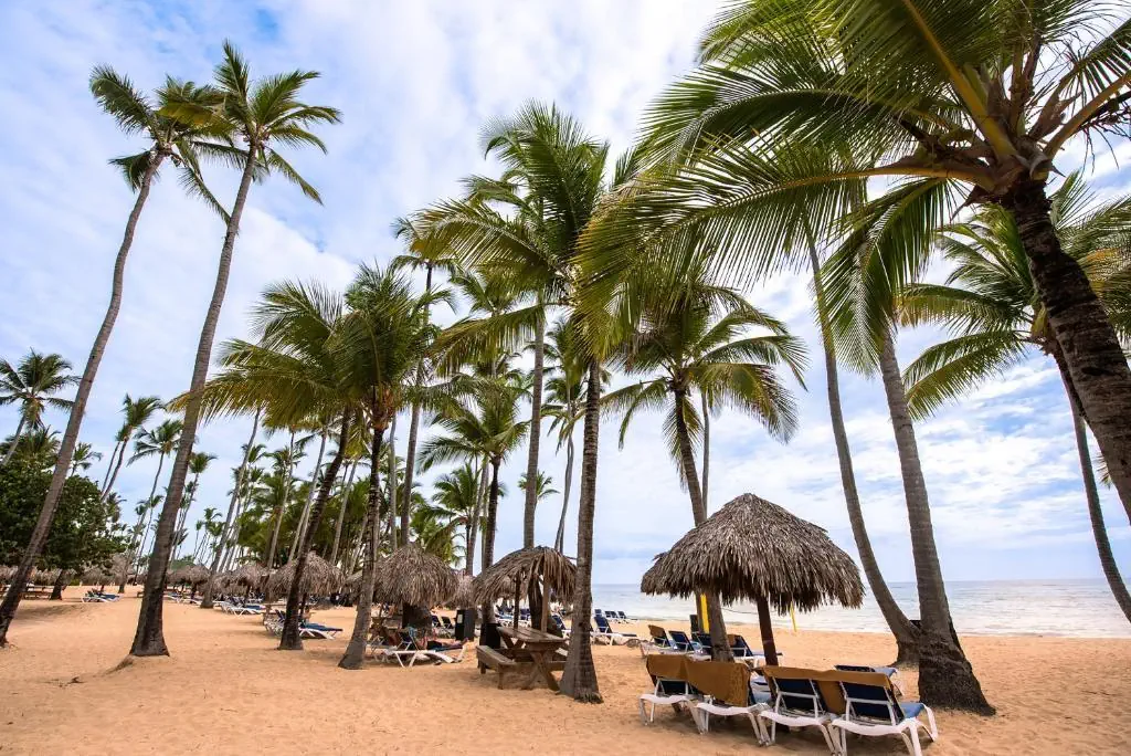 Grand Sirenis Punta Cana Resort - zdjęcie 15