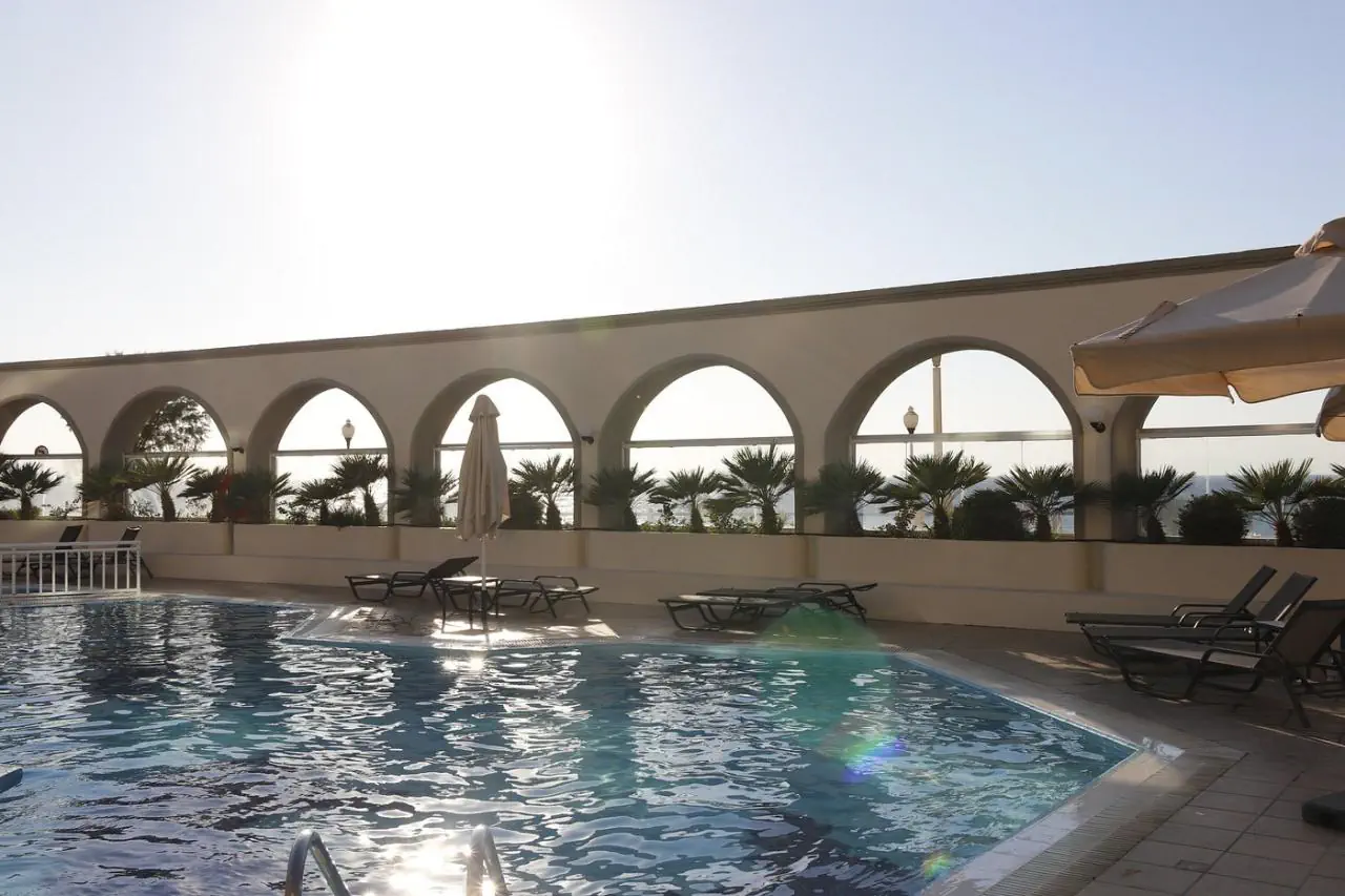Cactus - zdjęcie 13