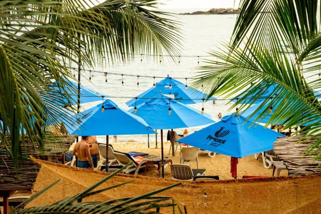 Peacock Beach - zdjęcie 7