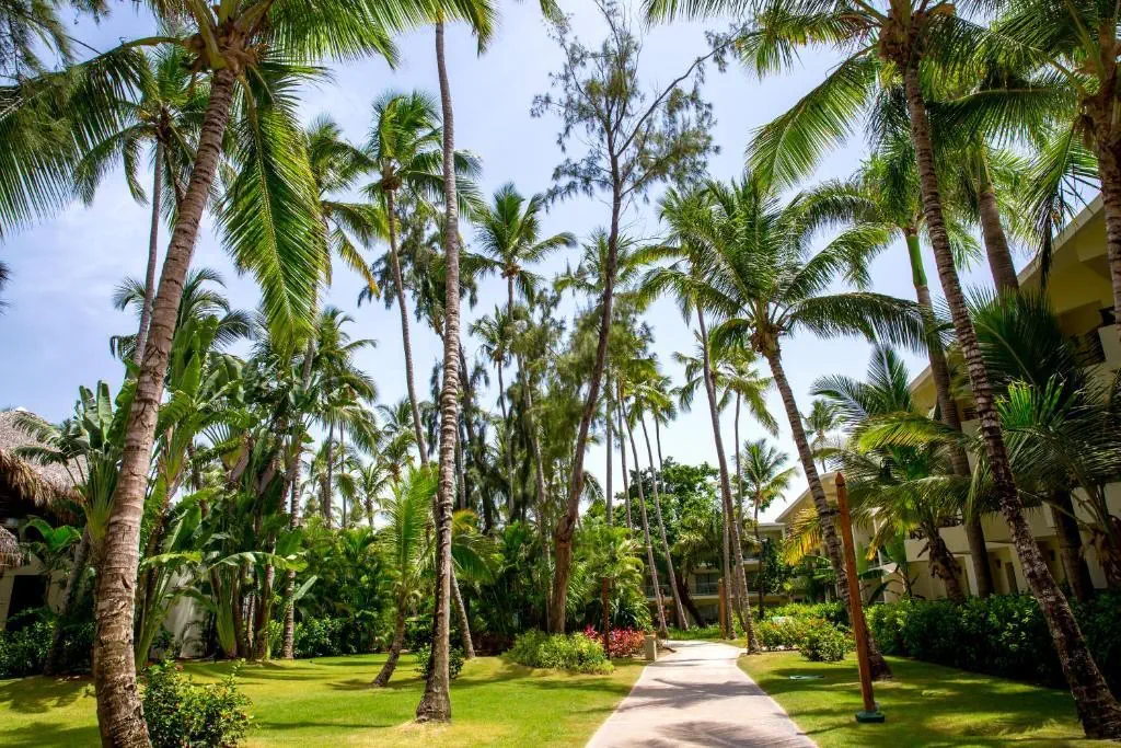 Impressive Punta Cana (ex Sunscape Bavaro Beach) - zdjęcie 20