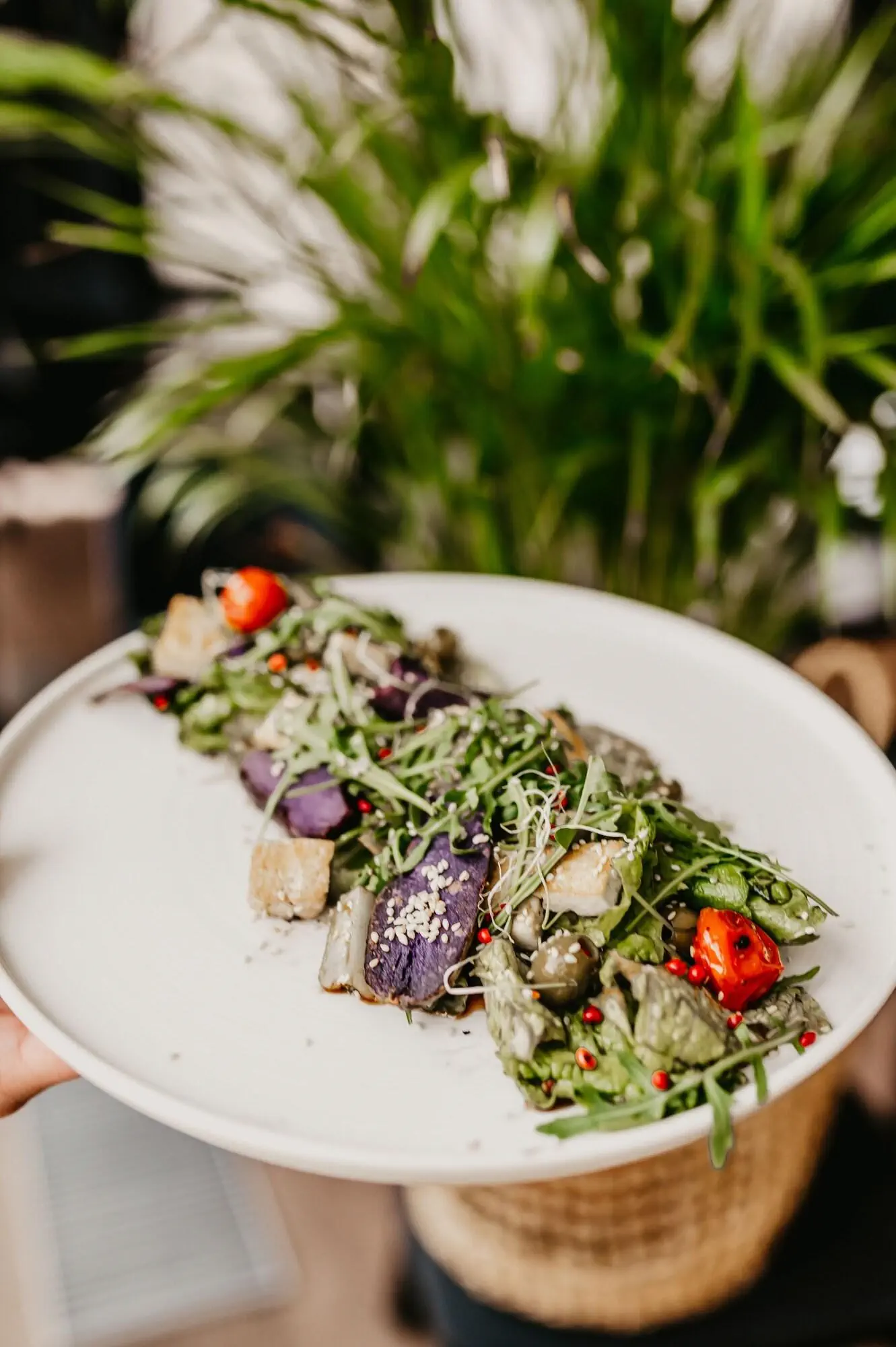Saltic Resort & SPA - zdjęcie 208
