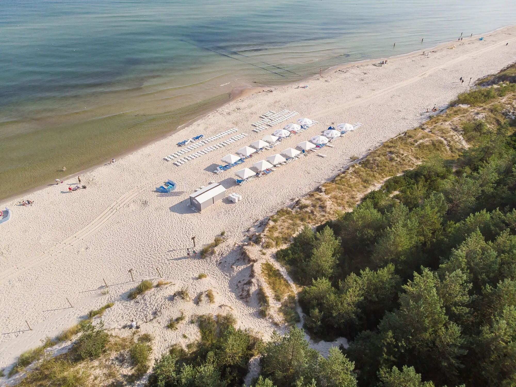 Saltic Resort & SPA - zdjęcie 155