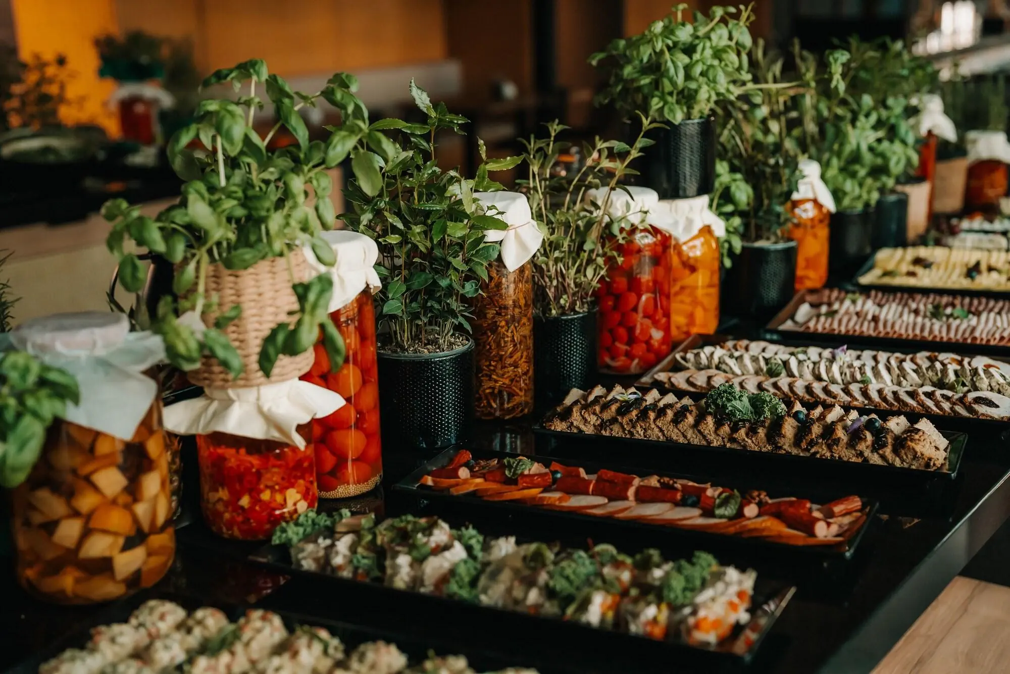 Saltic Resort & SPA - zdjęcie 209