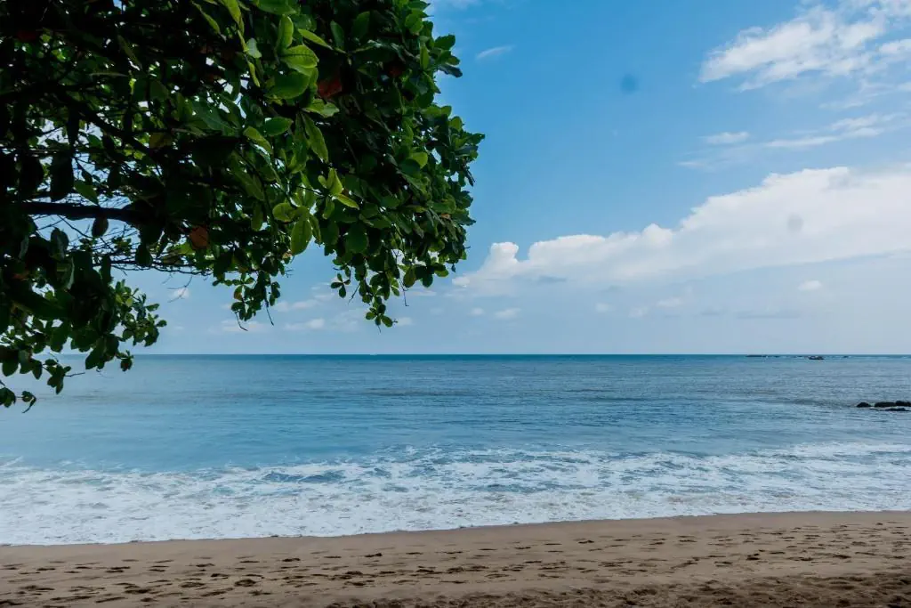 Golden Pearl Tangalle Beach - zdjęcie 19