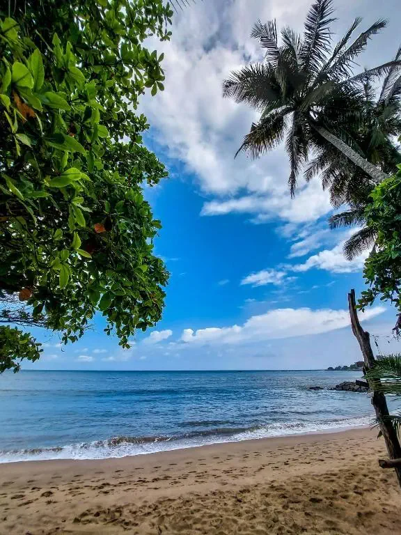 Golden Pearl Tangalle Beach - zdjęcie 21