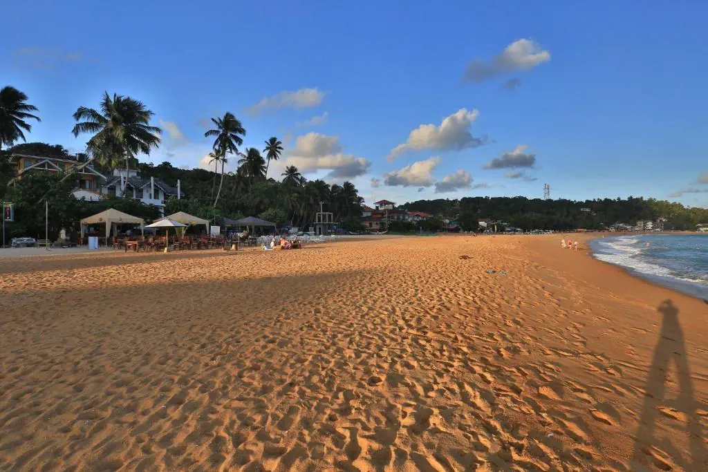 Thaproban Beach House - zdjęcie 10