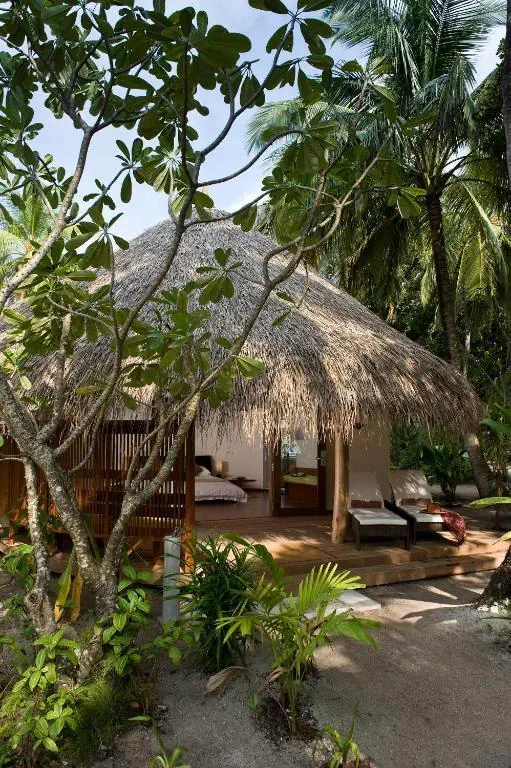 Niva Kuramathi Maldives - zdjęcie 18