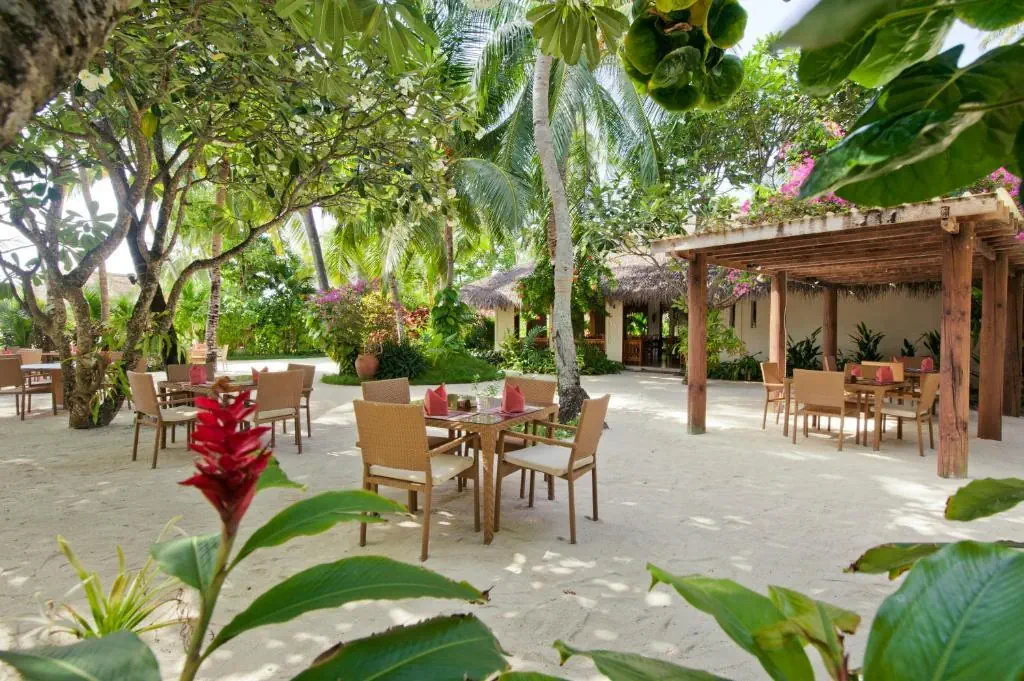 Niva Kuramathi Maldives - zdjęcie 15