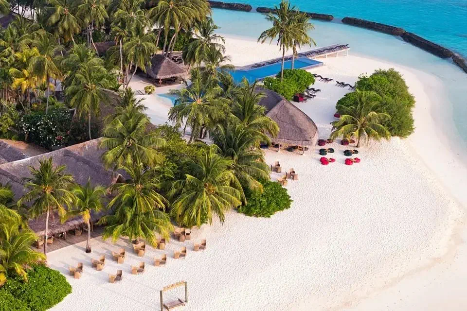Niva Kuramathi Maldives - zdjęcie 17