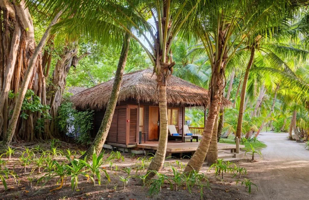 Niva Kuramathi Maldives - zdjęcie 21