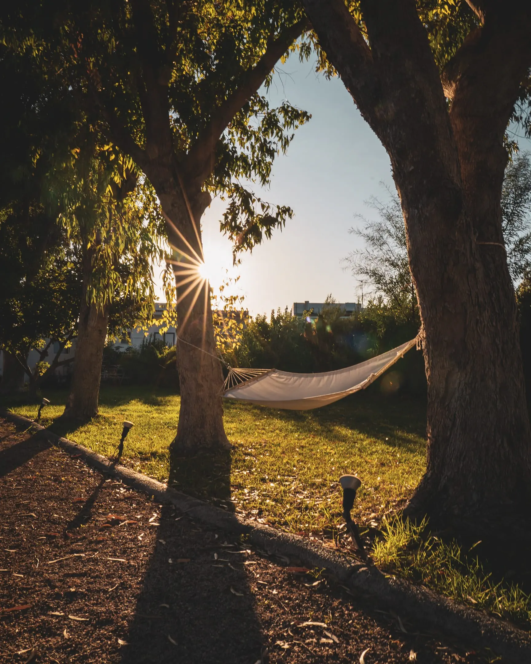 Eco Beach and Magic Garden - zdjęcie 24