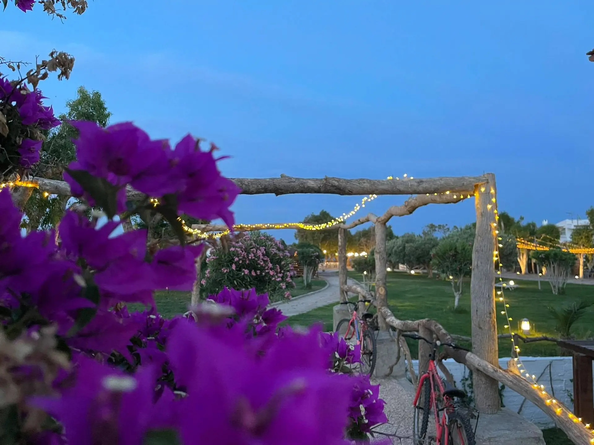Eco Beach and Magic Garden - zdjęcie 6