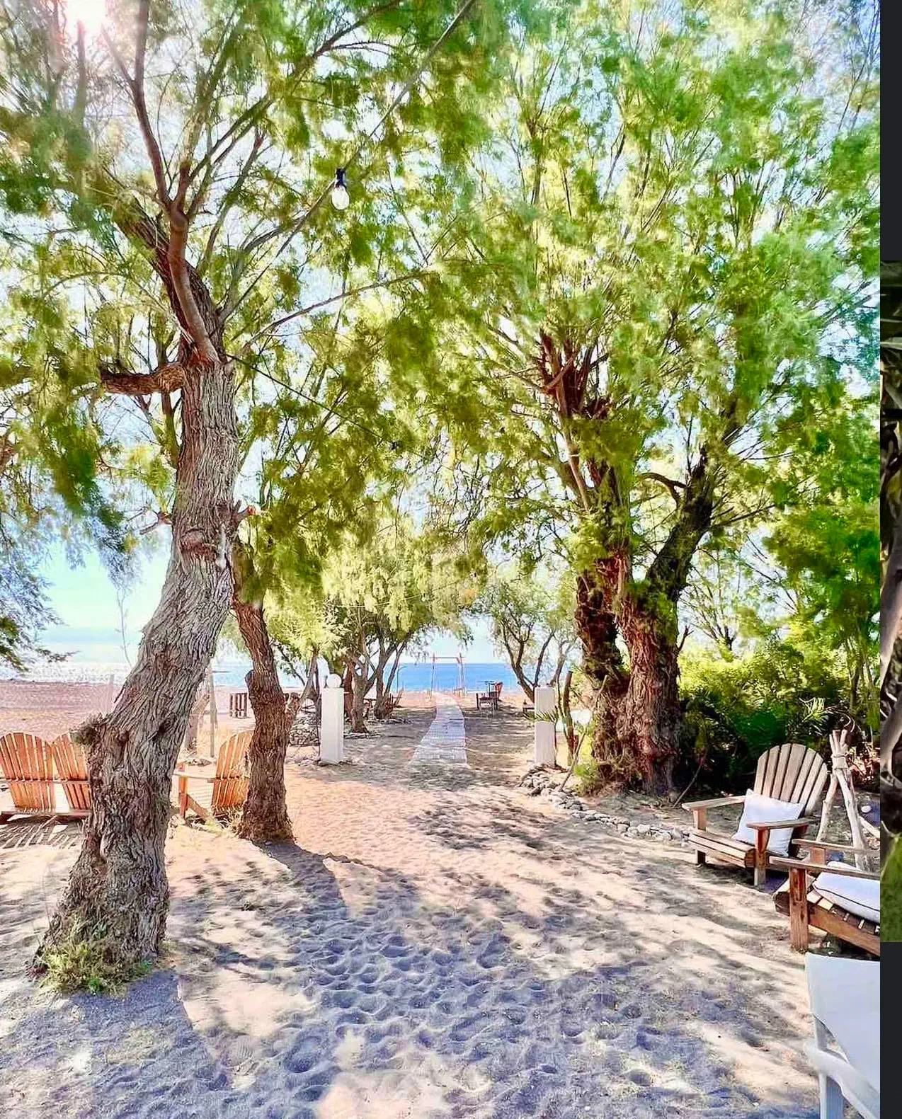 Eco Beach and Magic Garden - zdjęcie 23