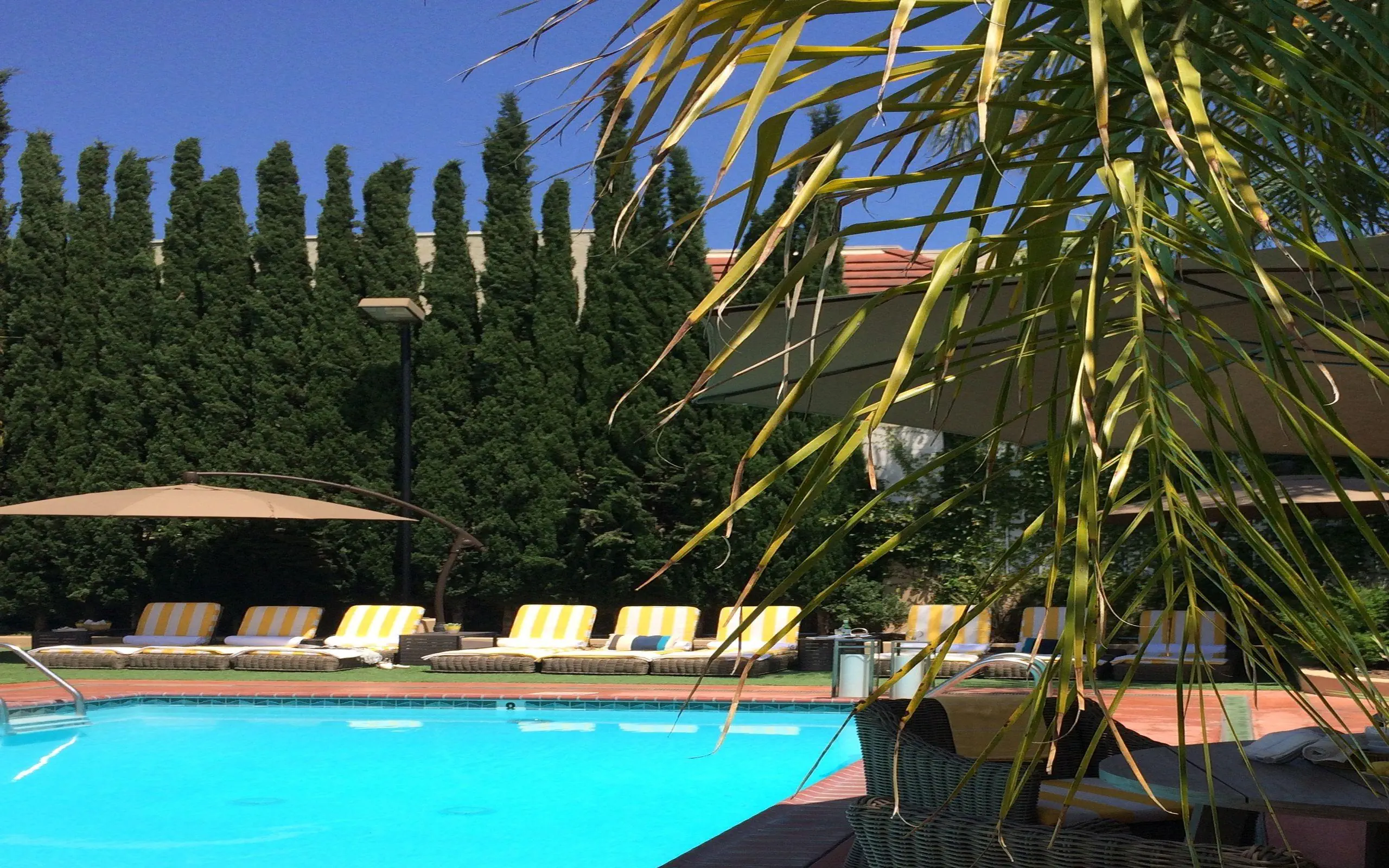 Hollywood Hotel - zdjęcie 25