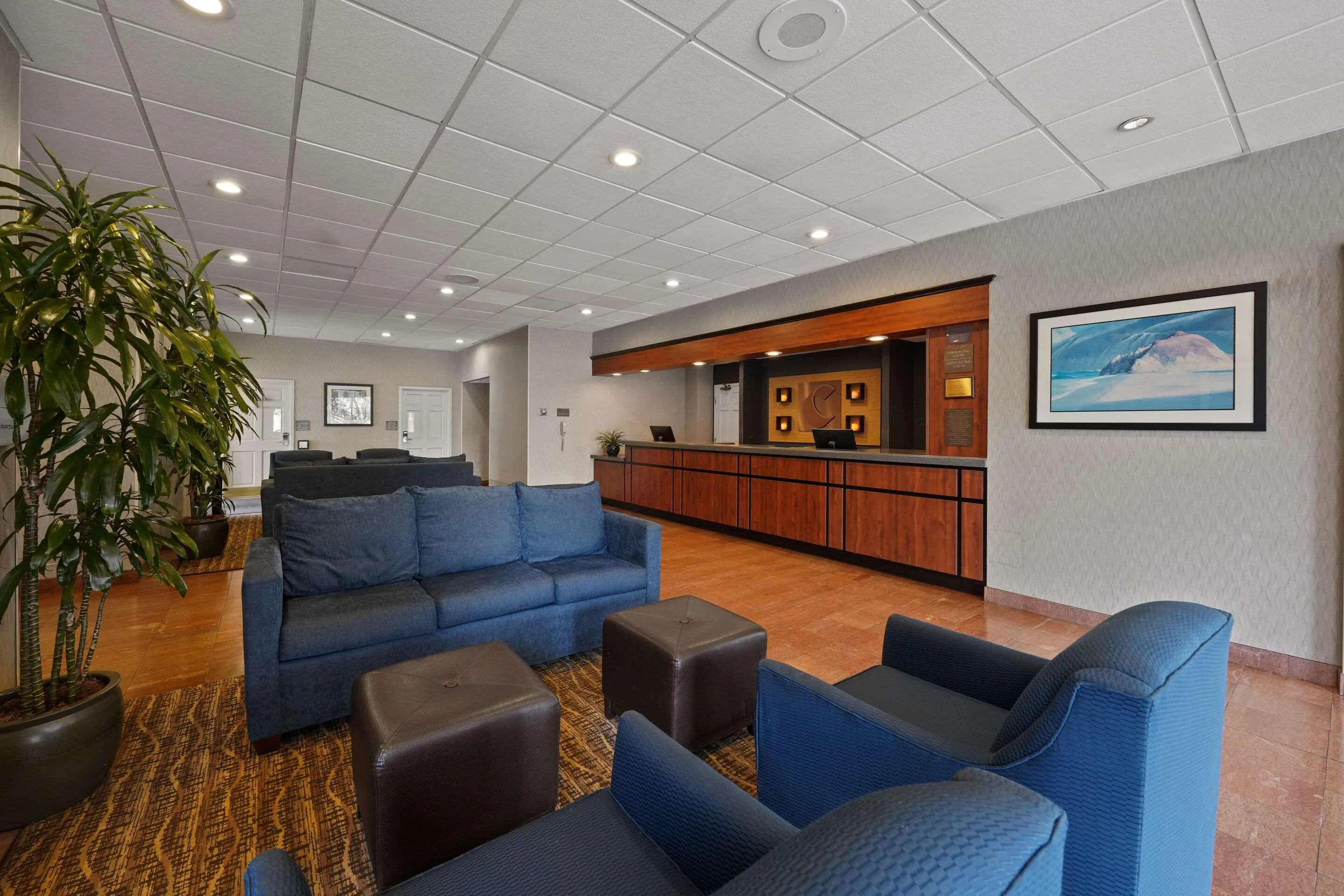 Comfort Inn by the Bay - zdjęcie 13