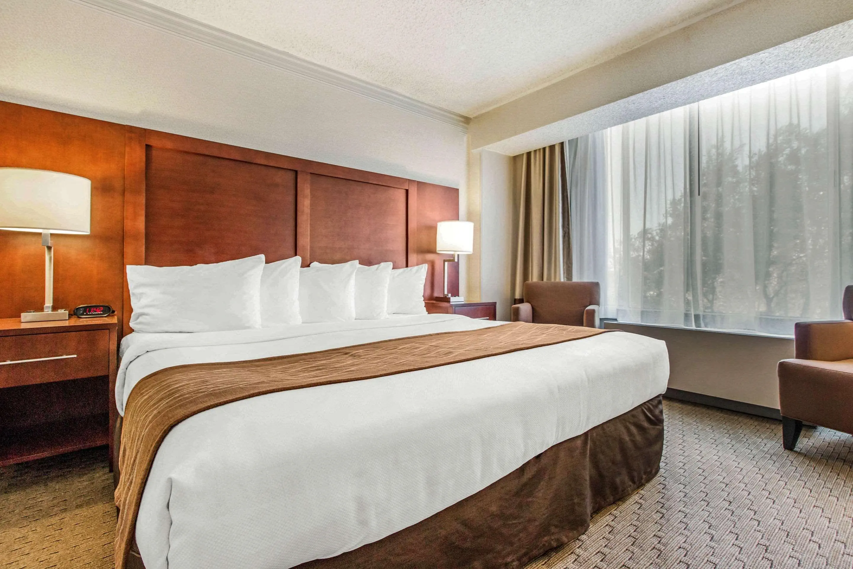 Comfort Inn by the Bay - zdjęcie 22