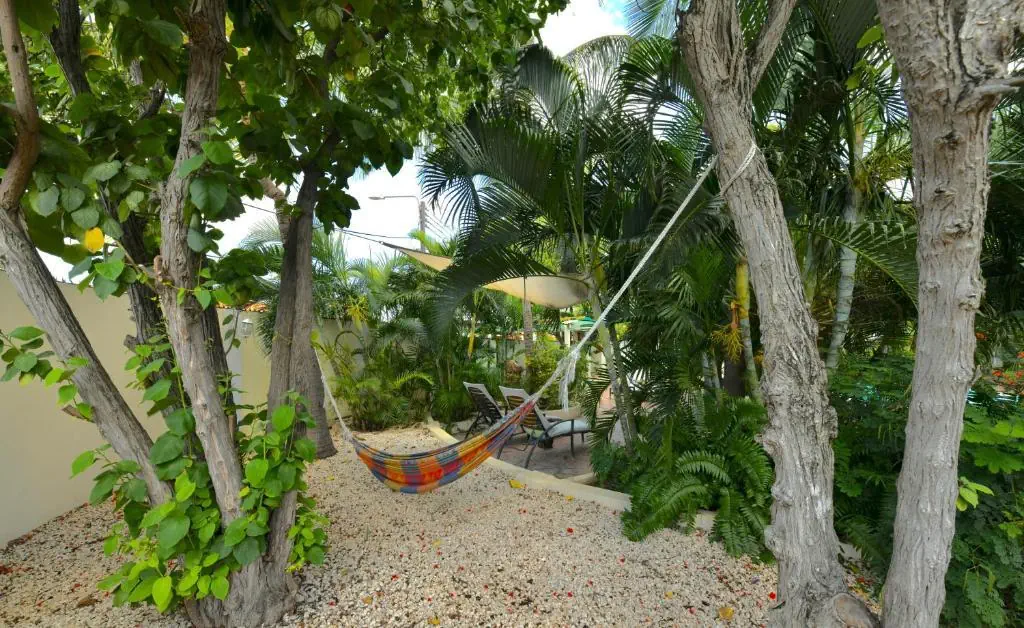 Wonders Beach Boutique - zdjęcie 6