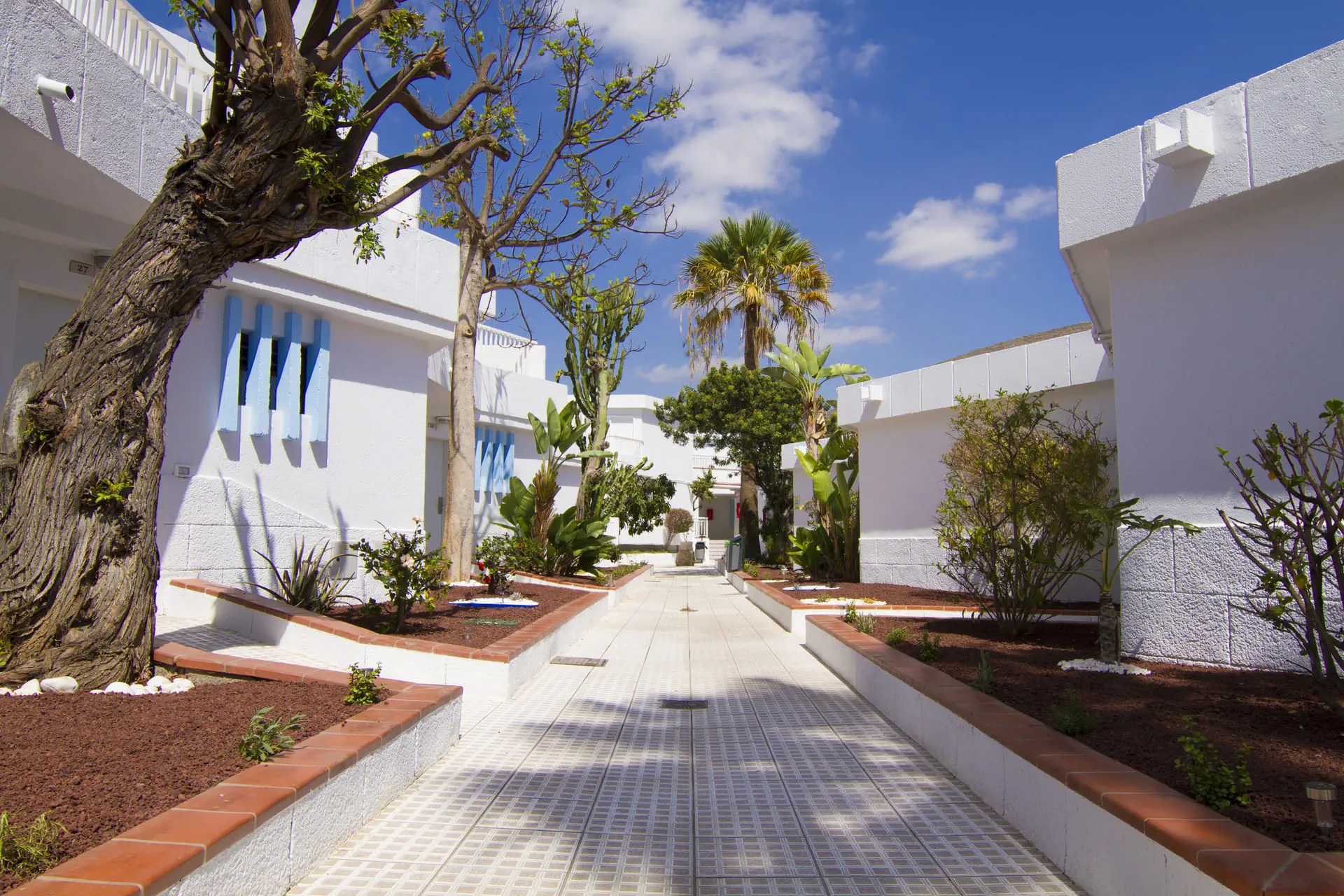 Checkin Bungalows Atlantida - zdjęcie 4
