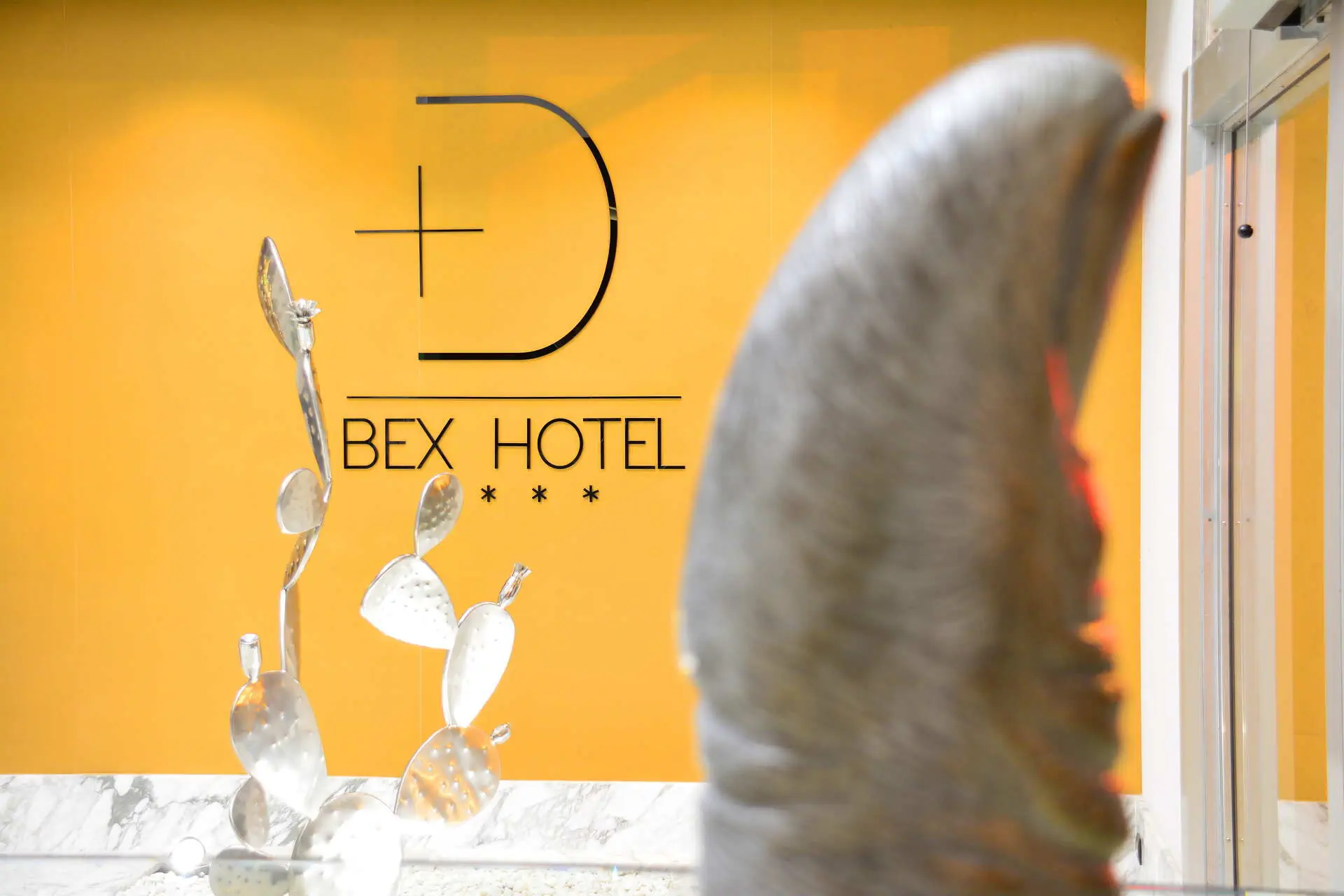Urban Sea Bex (ex Design Plus Bex) - zdjęcie 4