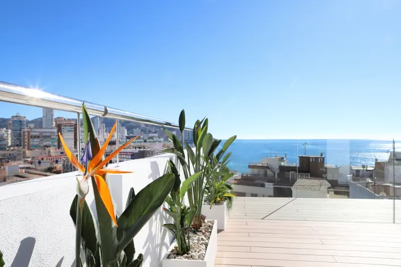 Alameda (Benidorm) - zdjęcie 5