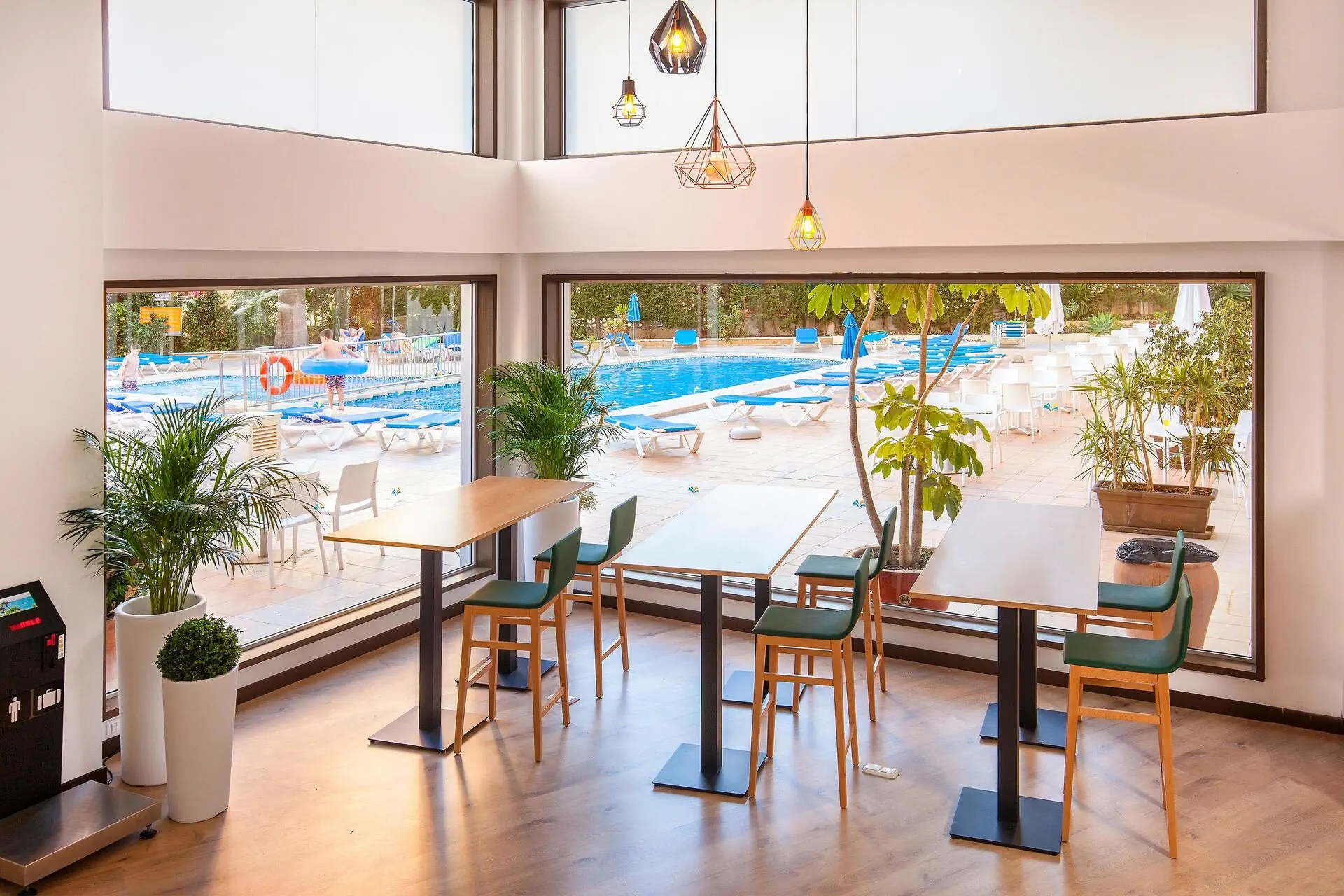 Gala Placidia (Benidorm) - zdjęcie 6