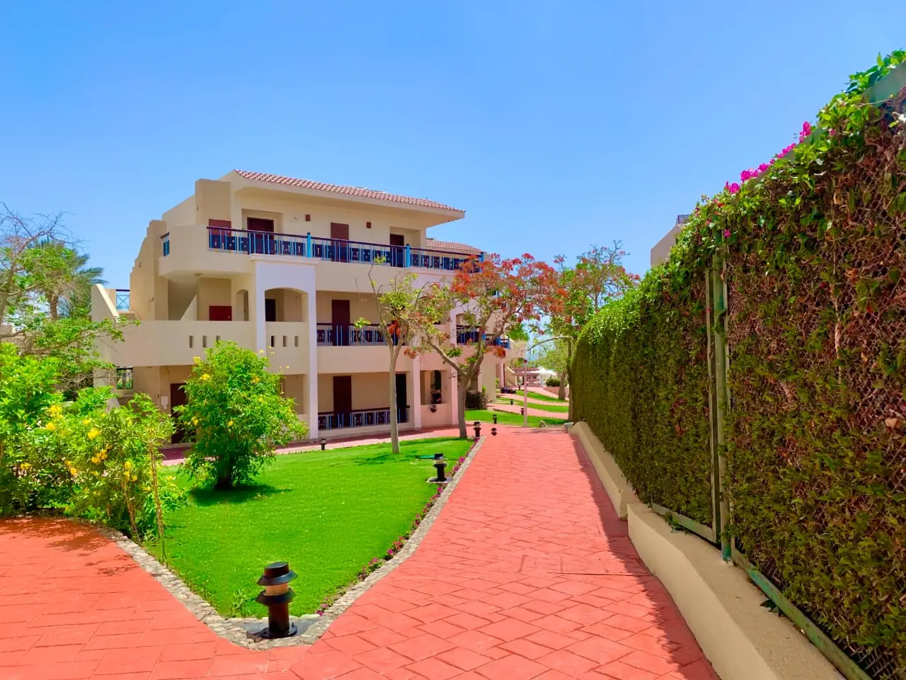 Aurora Cyrene Resort - zdjęcie 3