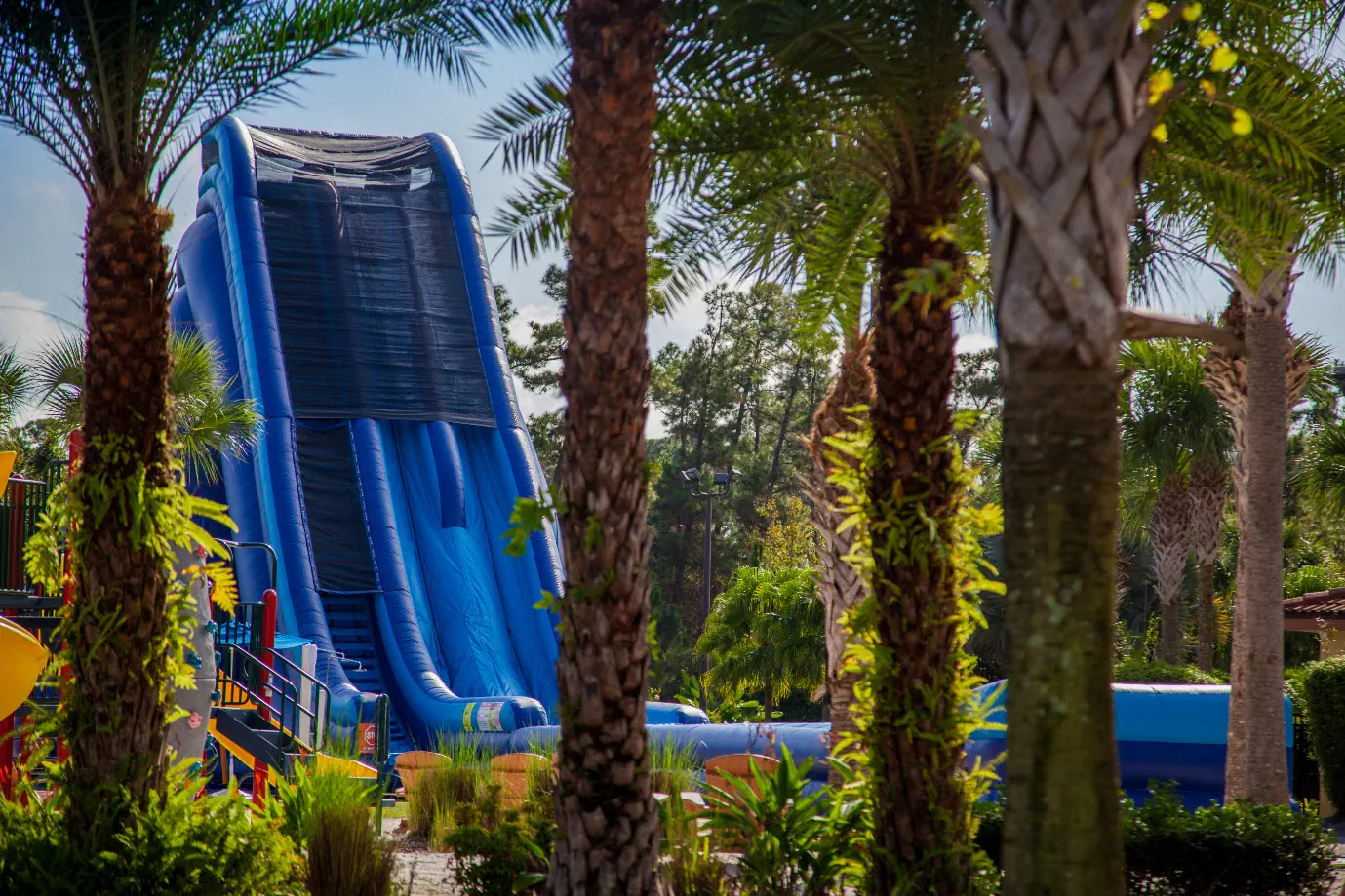 Holiday Inn Club Vacations at Orange Lake Resort - zdjęcie 28