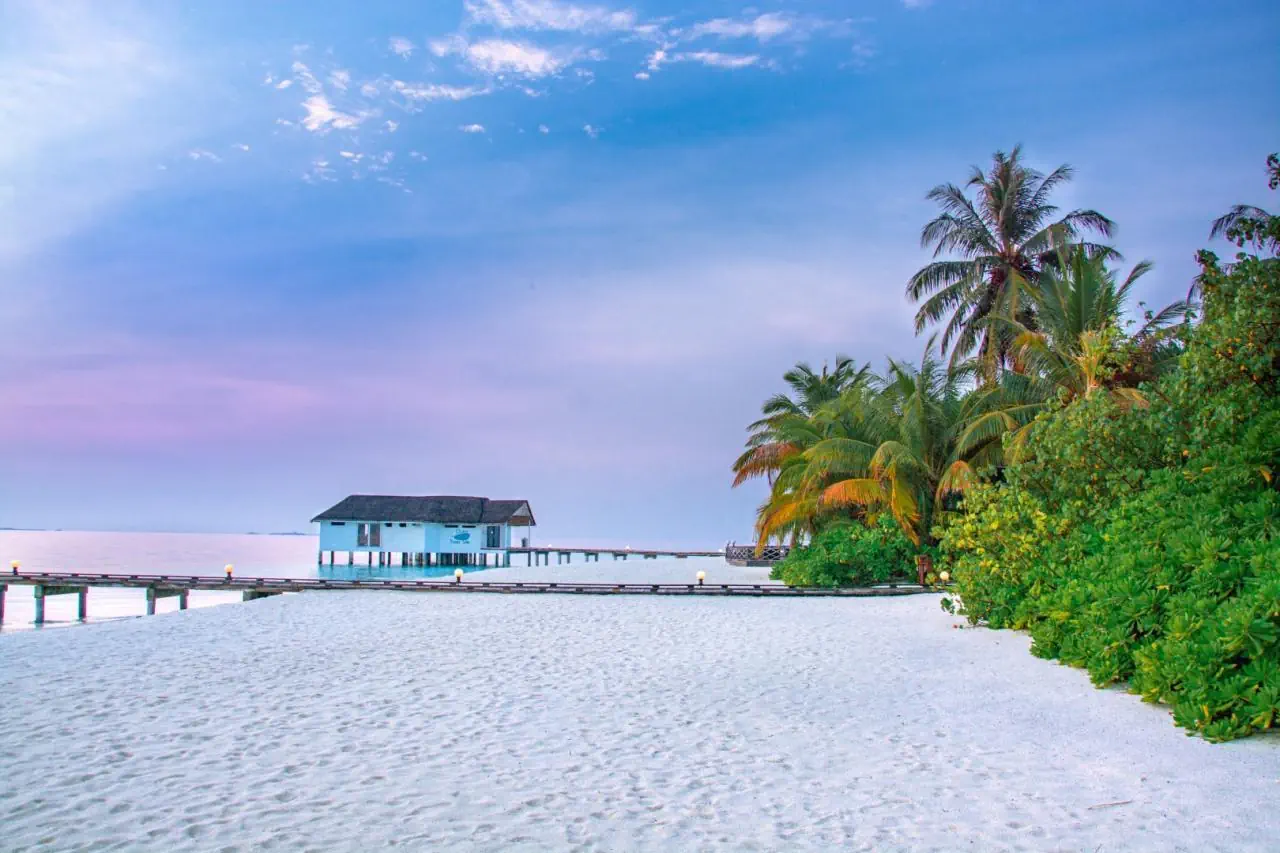 HOTEL Angaga Island Resort & Spa