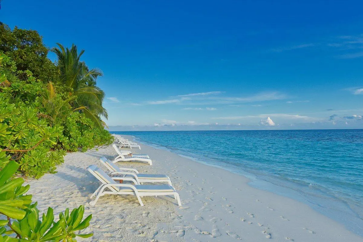 HOTEL Angaga Island Resort & Spa