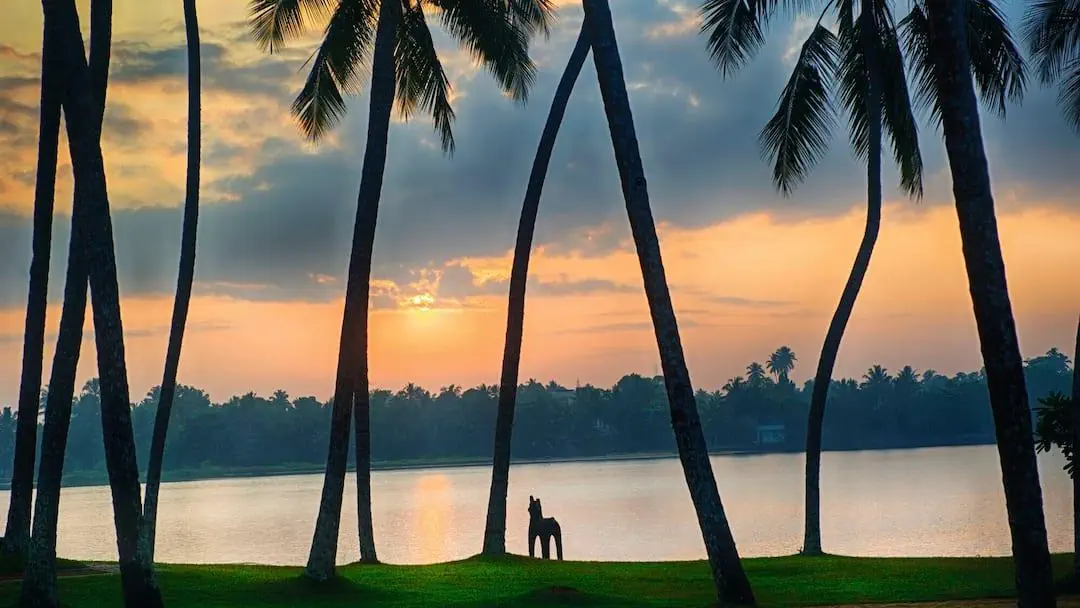 Avani Kalutara photo 1