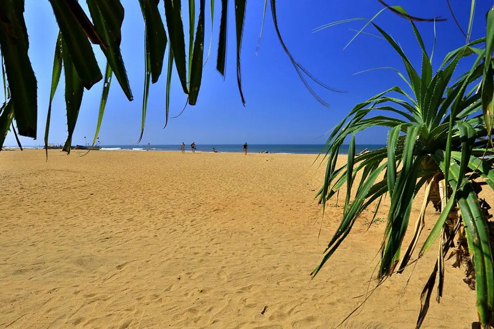 Hibiscus Beach - zdjęcie 34