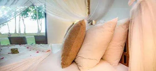 Dickwella Resort - zdjęcie 22