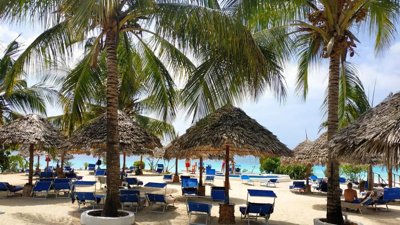 My Blue (Nungwi Beach) - zdjęcie 19