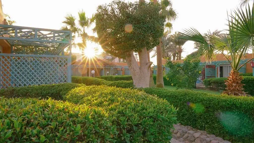 Giftun Azur Resort - zdjęcie 10