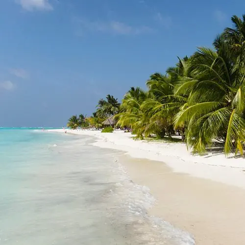 HOTEL Meeru Island Resort