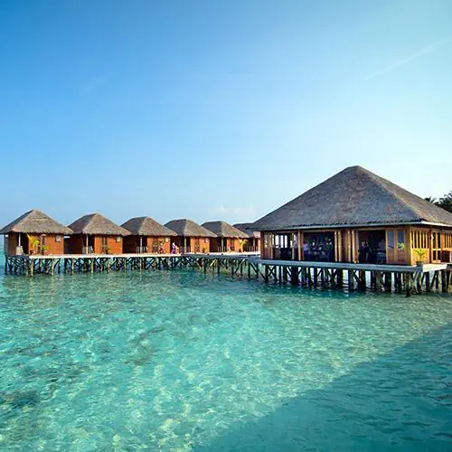 Meeru Island Resort photo 2