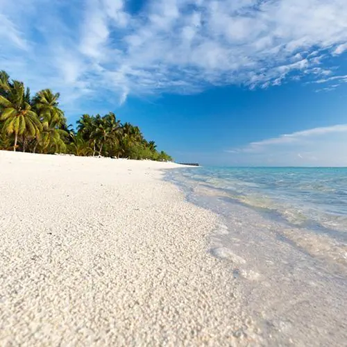 HOTEL Meeru Island Resort