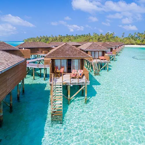 Meeru Island Resort photo 1