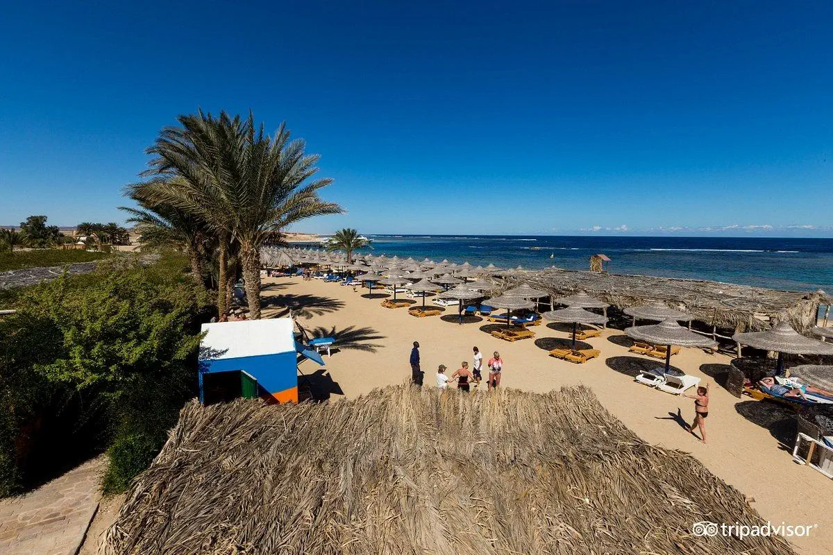Utopia Beach Club - zdjęcie 14