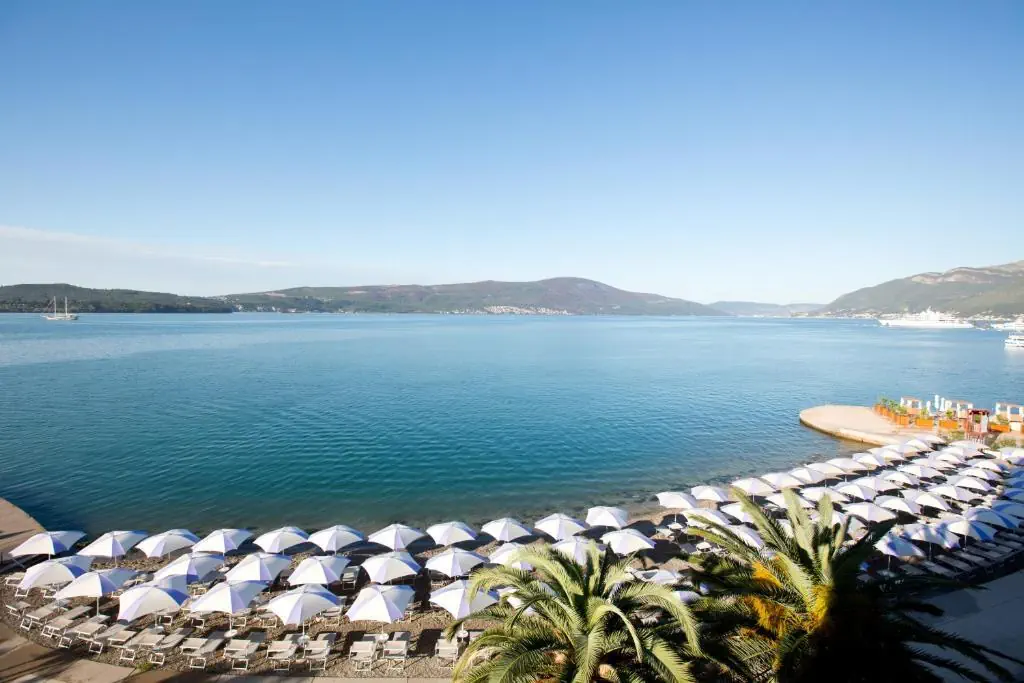Palma (Tivat) - zdjęcie 3
