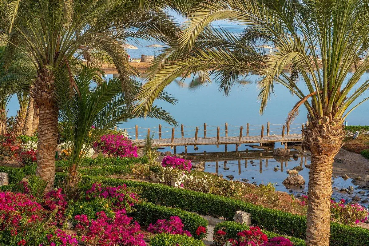 Movenpick Resort & Spa El Gouna - zdjęcie 11