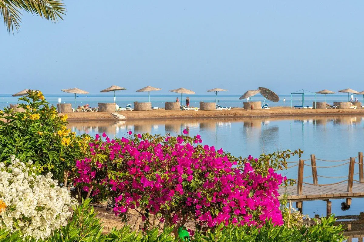 Movenpick Resort & Spa El Gouna - zdjęcie 10