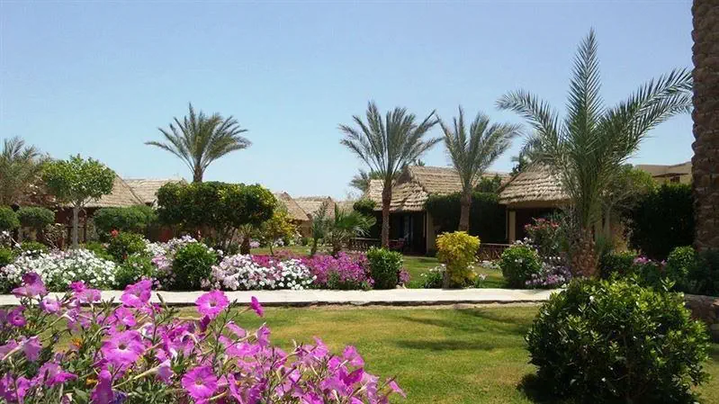 Panorama Bungalows El Gouna - zdjęcie 16