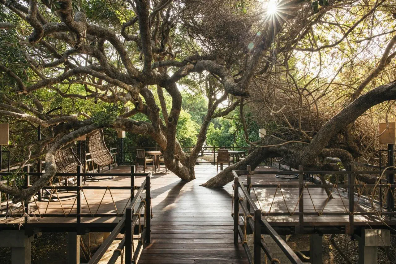 Uga Jungle Beach - zdjęcie 8