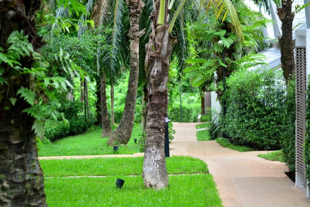 Deevana Krabi Resort - zdjęcie 11