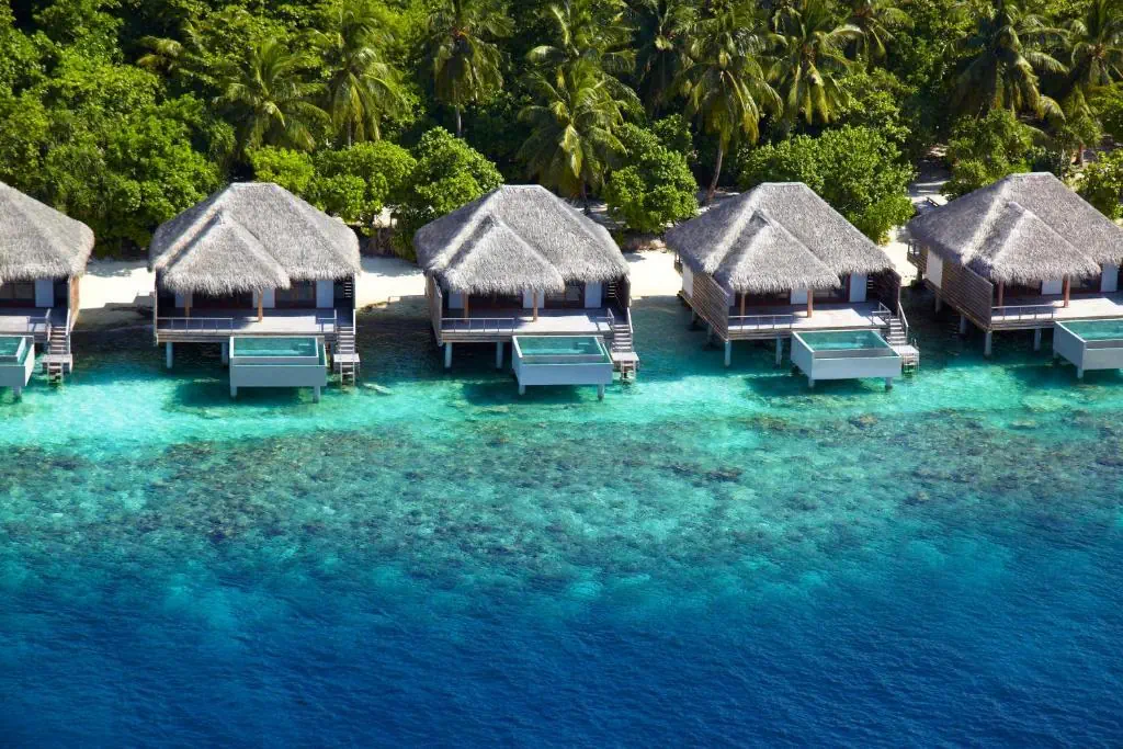 Dusit Thani Maldives - zdjęcie 19