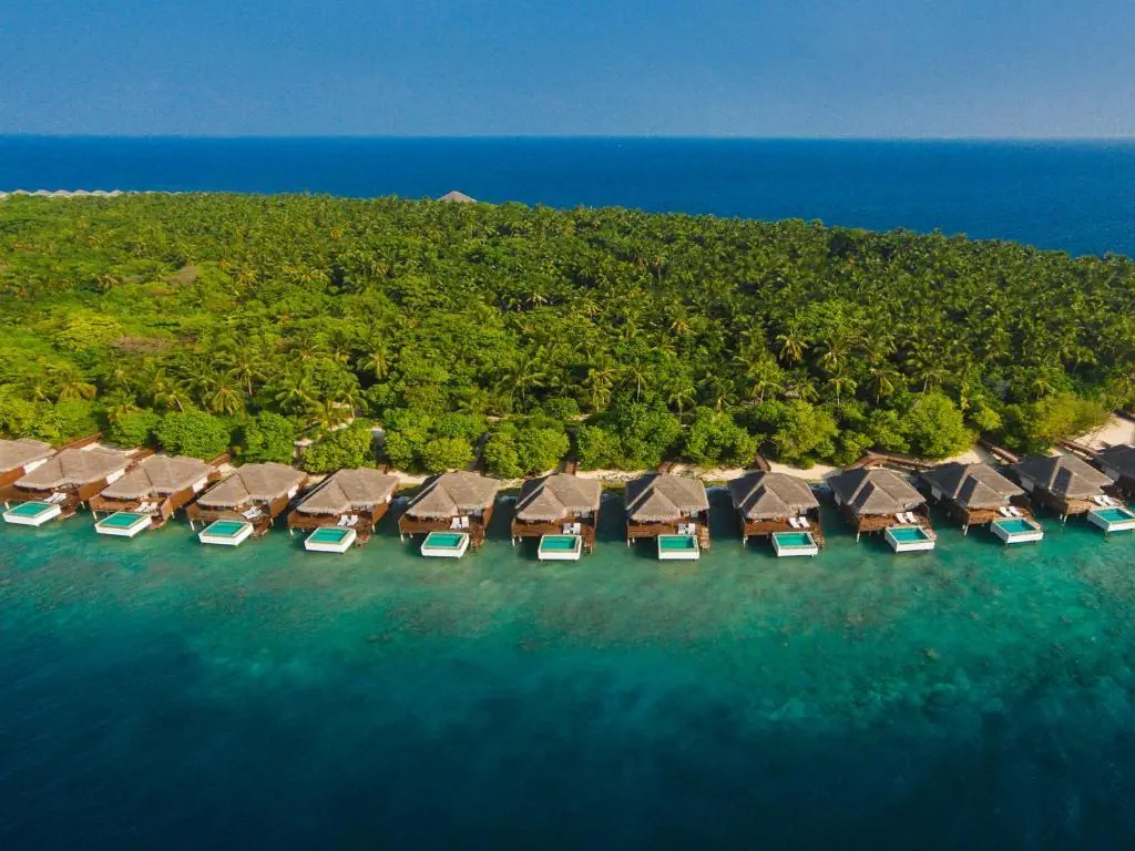 Dusit Thani Maldives - zdjęcie 5